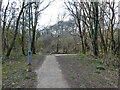 Path, Bewbush Water Gardens, Crawley