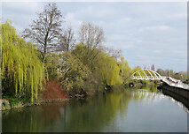 TL4659 : Green willows and Riverside Bridge by John Sutton