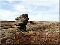 SE1374 : Tors on Fountains Earth Moor by Matthew Hatton