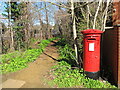 Path in wood by North Circular, from Corringway