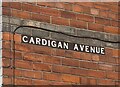 Cardigan Avenue off De La Pole Avenue, Hull