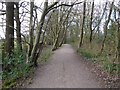 Bridleway 1550 towards Kilnwood Lane