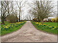 Driveway to Swan Farm