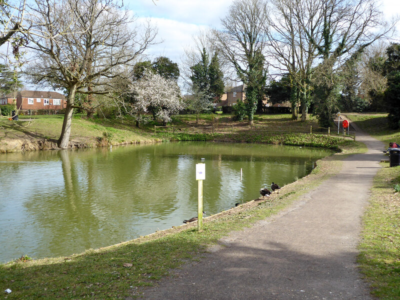 Dobbins Pond, Ifield, Crawley © Robin Webster :: Geograph Britain and ...