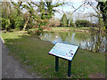 Dobbins Pond, Ifield, Crawley