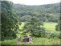 A ruined barn at Dolfawr