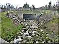 Spillway, Ifield Mill Pond