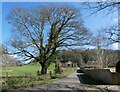 Old road, Compton Pauncefoot