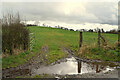 Muddy entrance to field, Killadroy