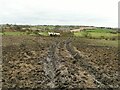 Very muddy field at Andrew Hill