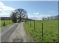 Red Road, Dargate