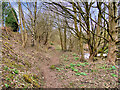 Riverside Path alongside the Irwell