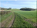 Path to North Cheriton