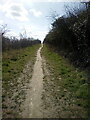 Path alongside Clockhouse Lane