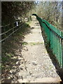 Steep Steps near Lion Gorge