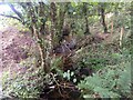 An unnamed stream at Trevidder Moor