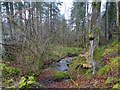 The Gill Burn