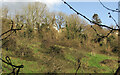 Hillside above Cockington Lane