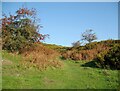 SD2780 : The Cumbria Way near Bortree Stile by Adrian Taylor