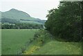 NS5184 : West Highland Way near Dumgoyne by Philip Halling