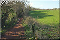 SX8865 : John Musgrave Heritage Trail by Little Cockington Wood by Derek Harper