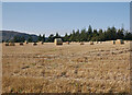 NH6036 : Harvested field, by Darris by Craig Wallace