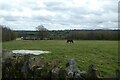 Field beside Back Lane