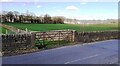 Field gateway from north side of Sutton Lane