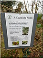 SP8901 : 3.Coppiced Hazel Notice at Boug's Meadow by David Hillas