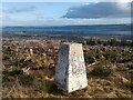 NH6672 : Cnoc Navie Trig Point and View to Invergordon by thejackrustles