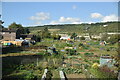 Allotments, Halling