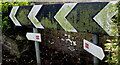 SO4810 : Cycle Route 423 direction signs, Wonastow, Monmouthshire by Jaggery
