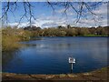 Smithy Pond, Wingerworth