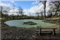 Seat and pond at Trimpley