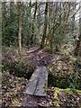 Path and woodland at Trimpley