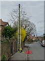 SO7845 : A ladder and telegraph pole by Philip Halling