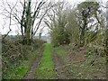 Track near Collins Farm