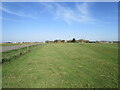 Grassland by Dalby Road