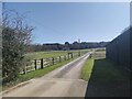 Farm track near Hydon Hill