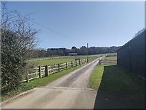 SU9740 : Farm track near Hydon Hill by James Emmans