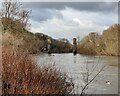 SO7876 : River Severn at Dowles by Mat Fascione