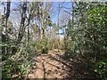 Path through Witney Common