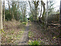 Bridleway 1550_1 to Forest Road