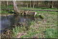 Old Moat, North Kilworth Millennium Green