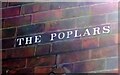 The Poplars off Durham Street, Hull