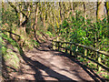 Path at Prestwich Clough