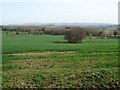 Farmland near Bickerton Court