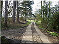 Public footpath 1545 to Buchan Country Park