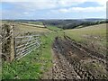 Farmland above the Taw Valley