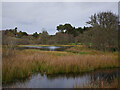 NH6035 : Deer Pond, Aldourie by Craig Wallace